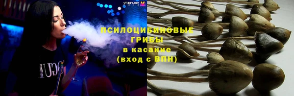 ГАЛЛЮЦИНОГЕННЫЕ ГРИБЫ Алексеевка