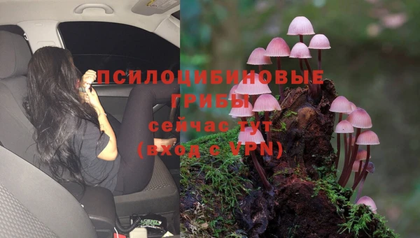 соль ск Абдулино