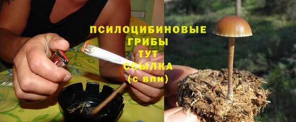 ГАЛЛЮЦИНОГЕННЫЕ ГРИБЫ Алексеевка